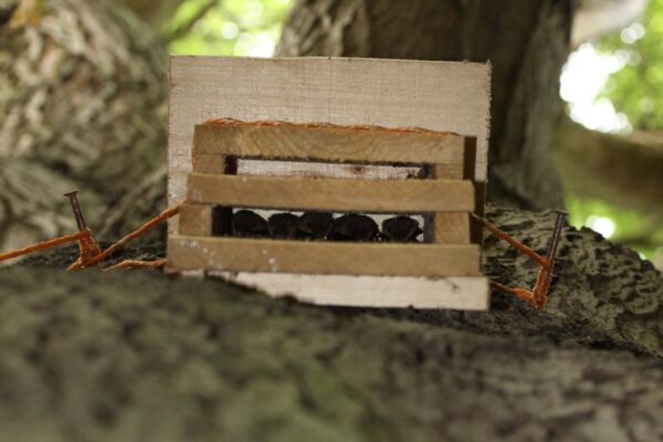 Bat Boxes