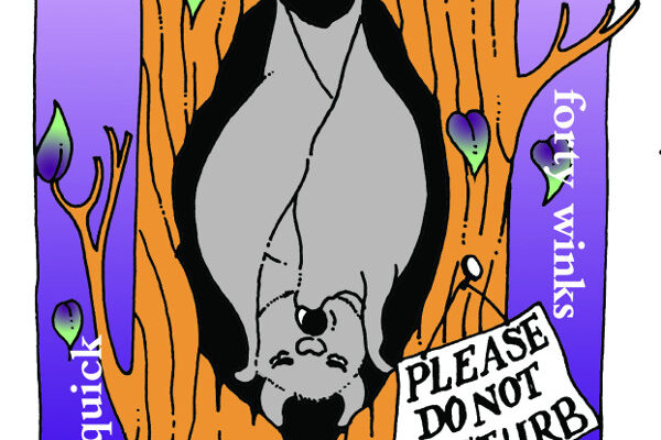 A year in the life of a bat