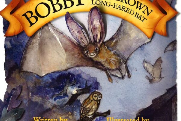 Bobby the Brown Long-Eared Bat