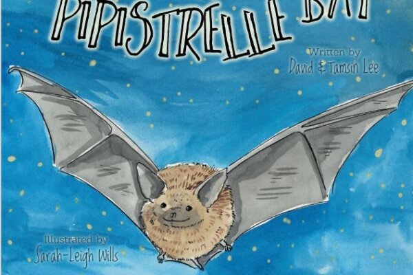 Percy the Pipistrelle Bat