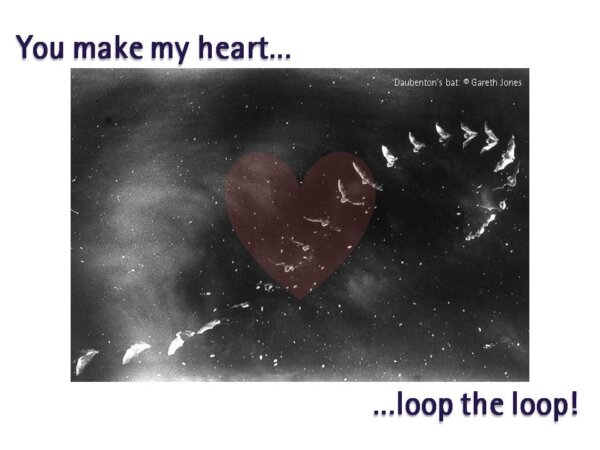 Batty Valentine's!