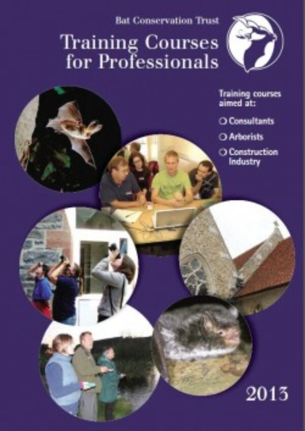 2013 Professional Training Courses