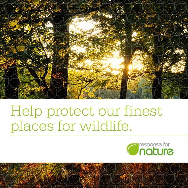 Launch of the Response for Nature report