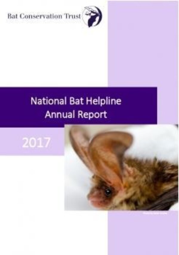 National Bat Helpline report 2017 released