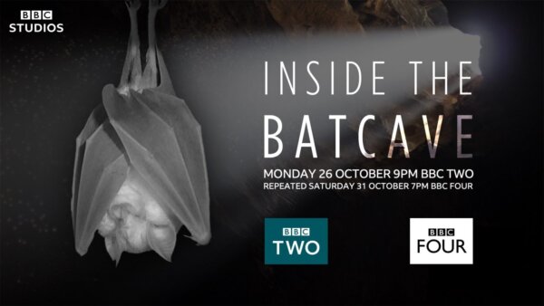 New film: Inside The Bat Cave