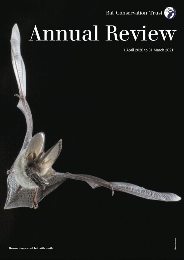 BCT ANNUAL REVIEW PUBLISHED