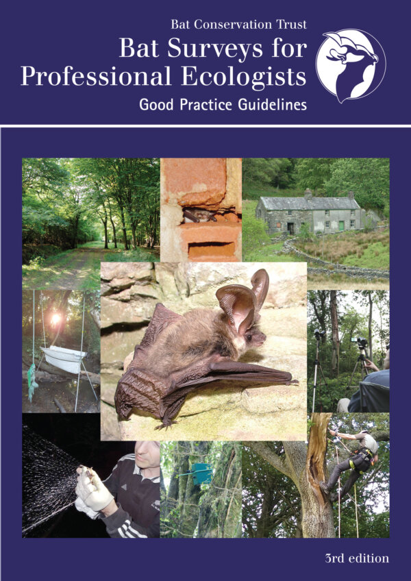 Updated guidance for use of night vision aids for bat surveys