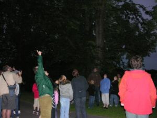 Thousands to Celebrate European Bat Weekend - 30-31 August
