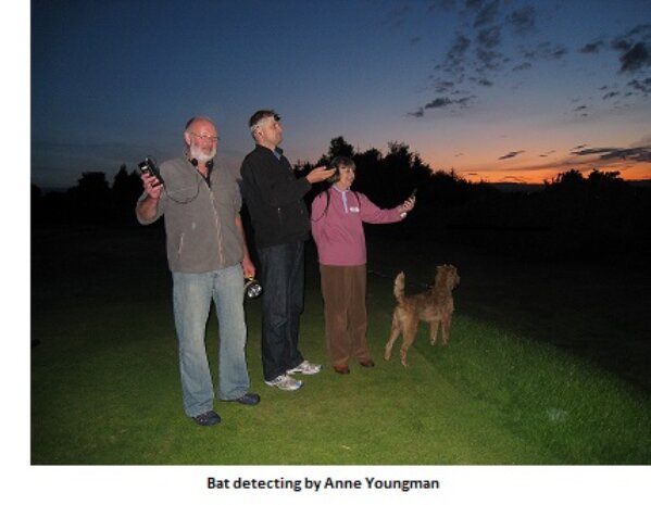 The National Bat Monitoring Programme: Citizen science reveals trends in bat populations