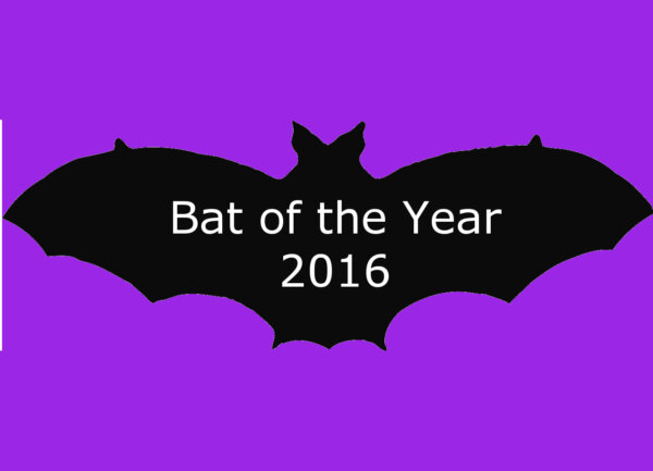 The Bat Factor