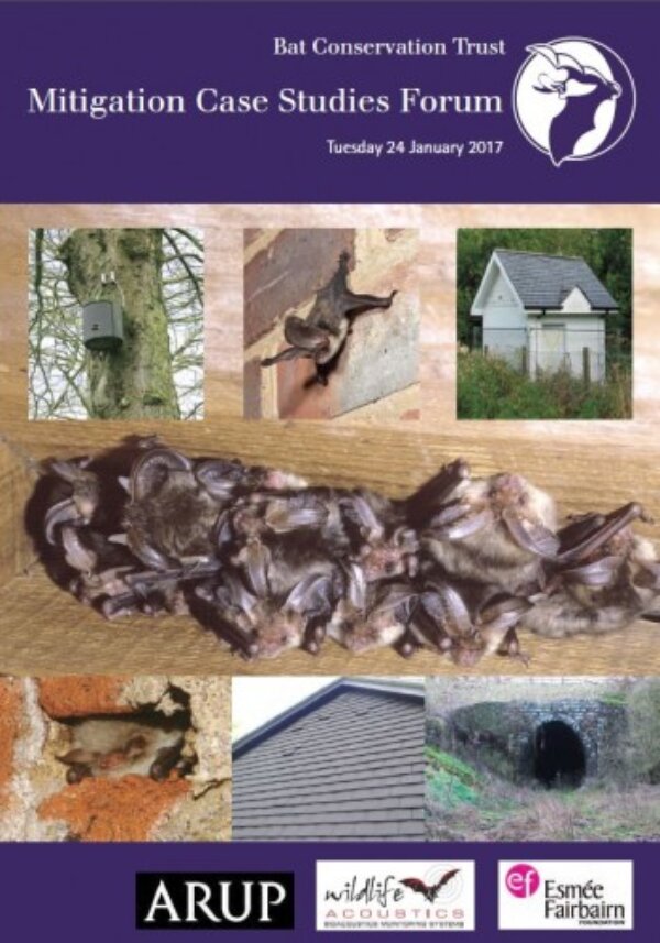 Mitigation Case Studies Forum  Proceedings now available