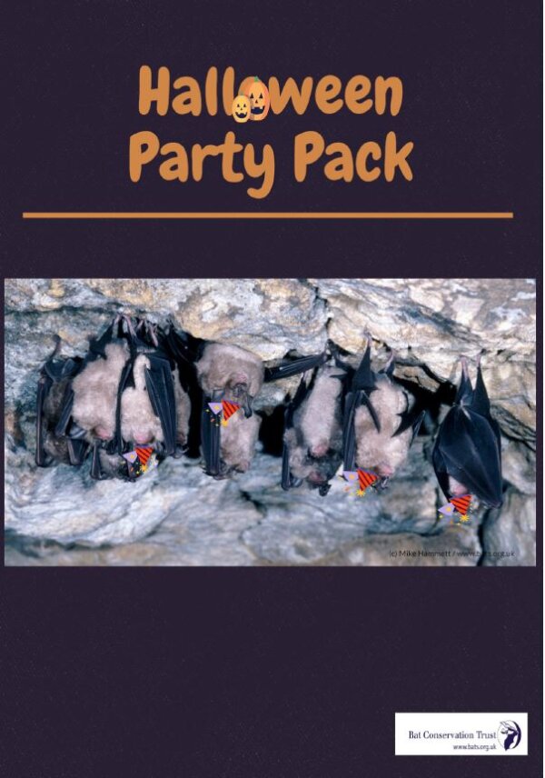 New Halloween Fundraising Pack