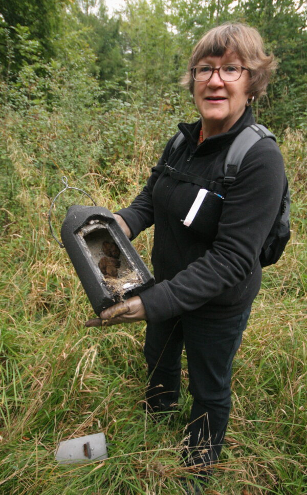 In Memory of Lou Pickersgill - Somerset Bat Group