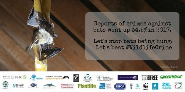 Reform essential to tackle rising wildlife crime and ‘appallingly low’ number of convictions