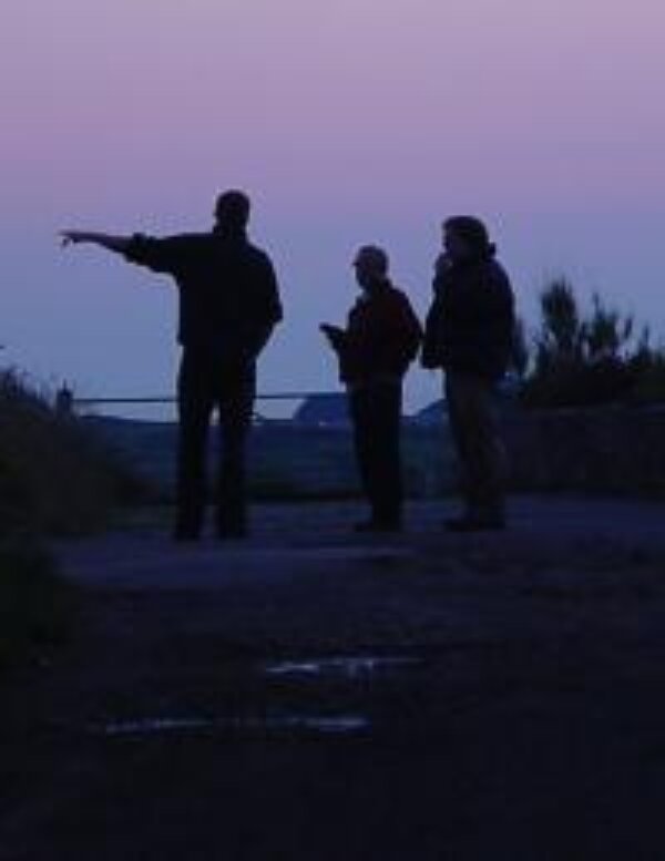 Sunrise-Sunset Survey - Help us count bats!