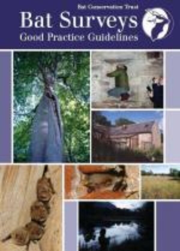 Bat Conservation Trust launches guidelines on bat surveys