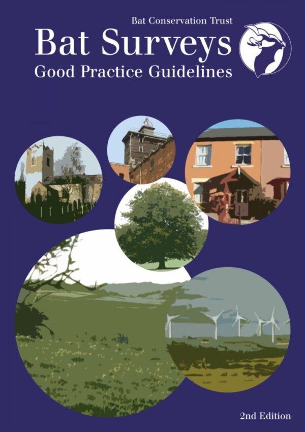 New edition of Bat Surveys Good Practice Guidelines to come