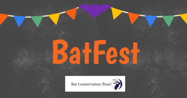 Press release from the Bat Conservation Trust: Welcome to BatFest