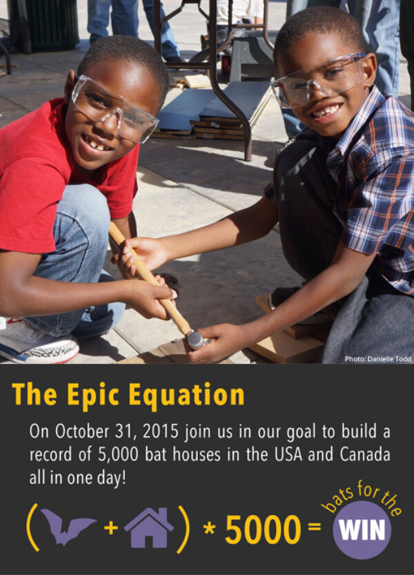Bat Week World Record Attempt