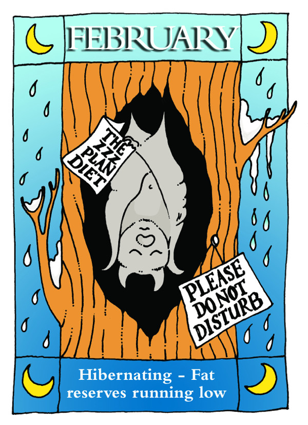 A year in the life of a bat