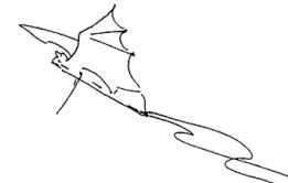 Outdoor bat activities