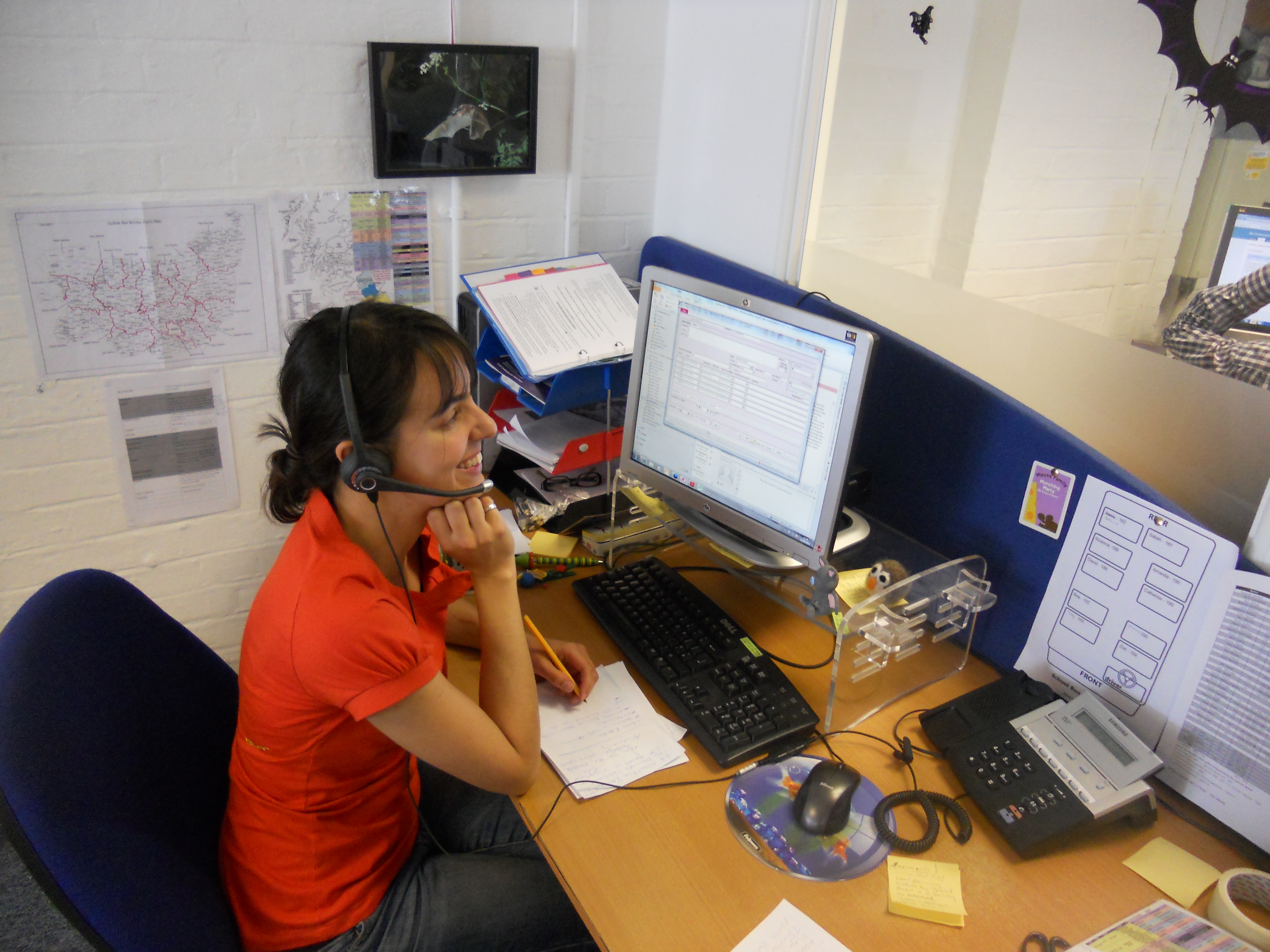National Bat Helpline