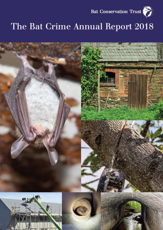 Bat Crime Report released