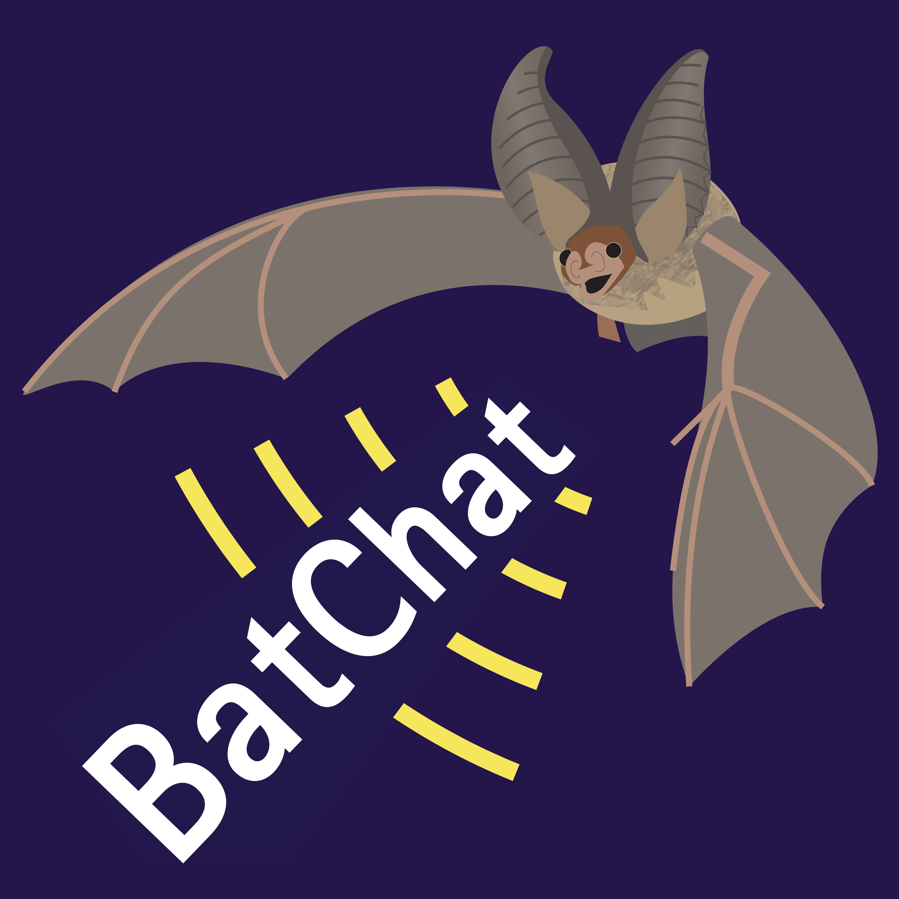 About BatChat