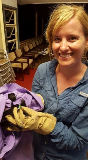 Flying-foxes might want their cake but should they eat it too?
