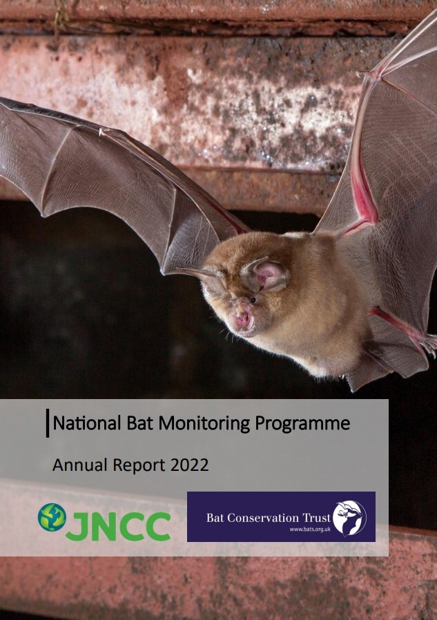 NBMP Annual Report: Bats continue returning to the night skies