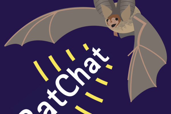 About BatChat