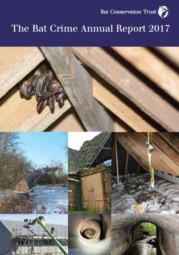Bat Crime Annual Report 2017 released