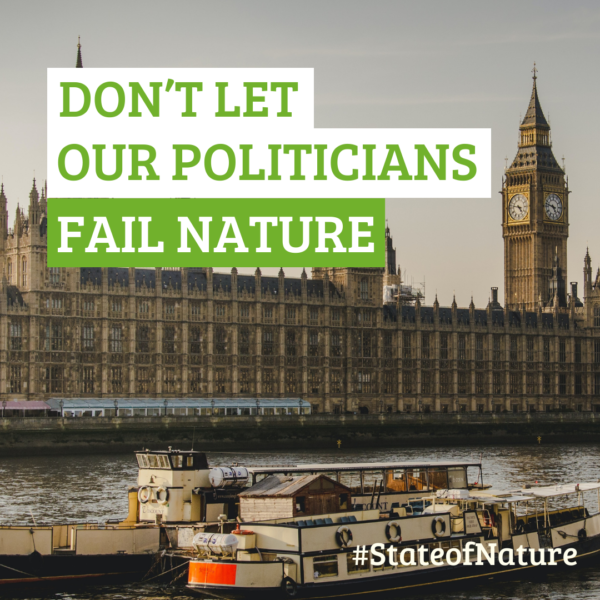 State of Nature 2023