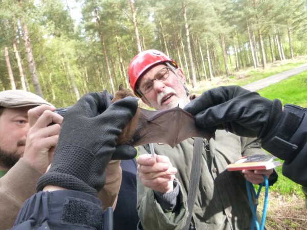 Obituary: Tony Lane – Passionate about bats