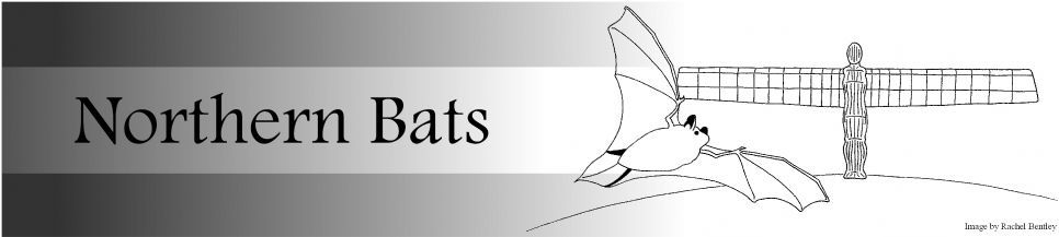 Northern Bats